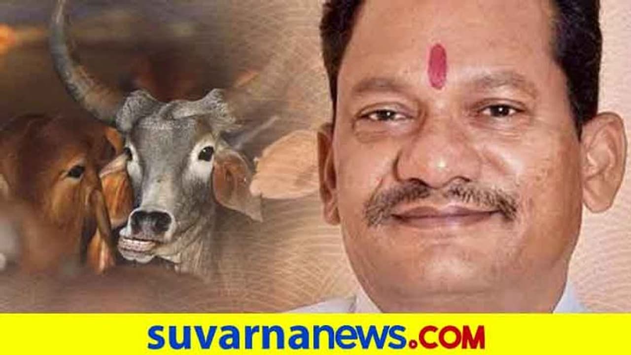 ಗೋಹತ್ಯೆ ನಿಷೇಧ ಕಾಯ್ದೆ ಕಟ್ಟುನಿಟ್ಟು ಜಾರಿ: ಸಚಿವ Prabhu Chauhan