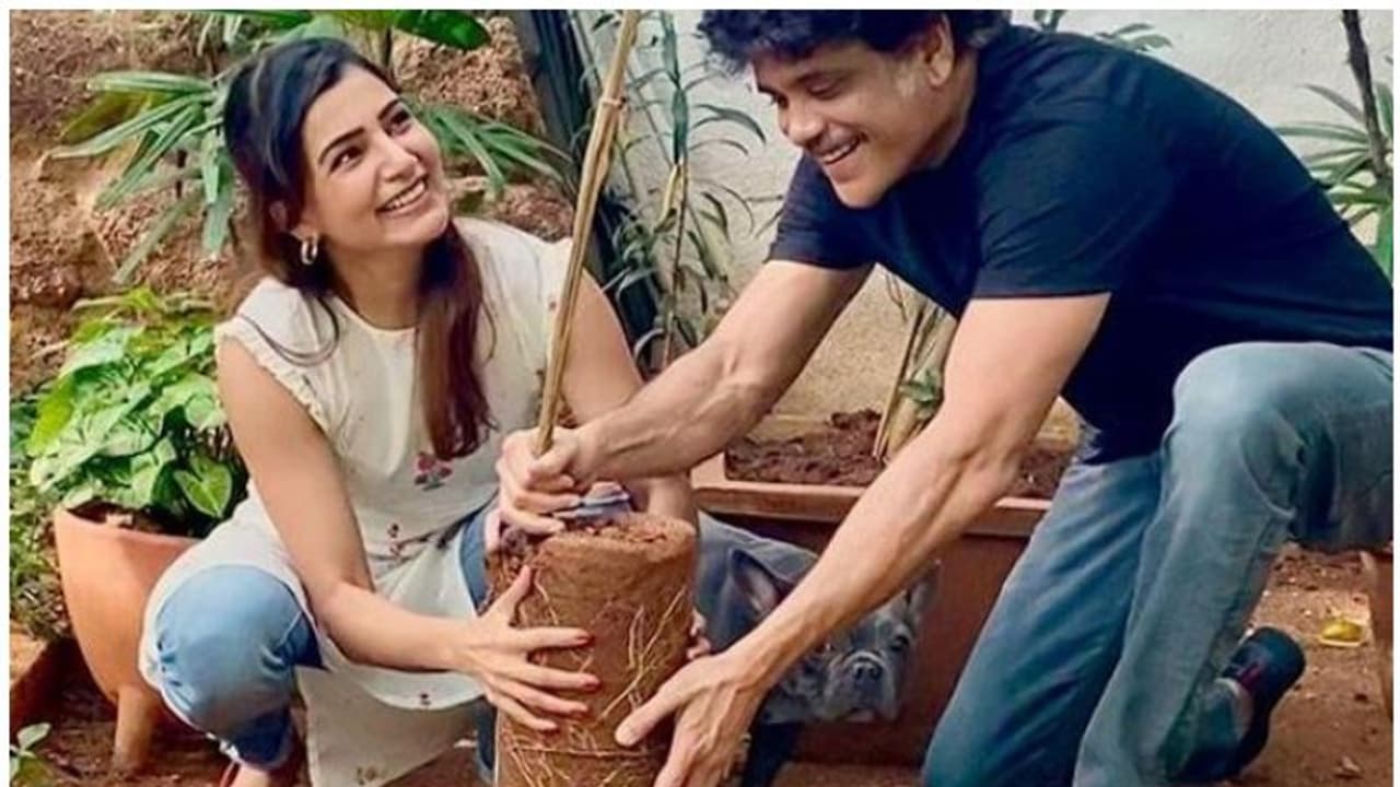 Samantha Akkineni with father in law Nagarjuna pose challenge to celebs Samantha Akkineni with father in law Nagarjuna pose challenge to celebs