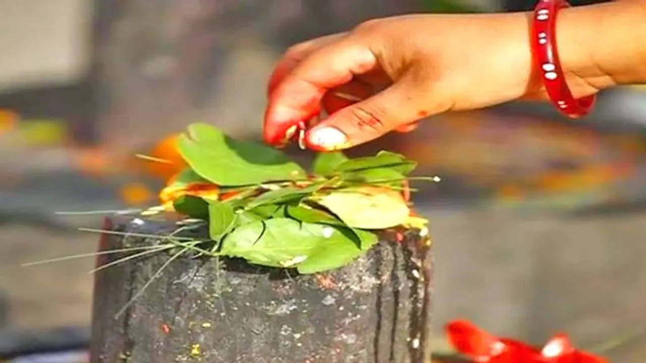 শ্রাবণ মাসে এইভাবে করুন মহাদেবের পুজো, চিরতরে দূর হবে আর্থিক সমস্যা শ্রাবণ মাসে এইভাবে করুন মহাদেবের পুজো, চিরতরে দূর হবে আর্থিক সমস্যা