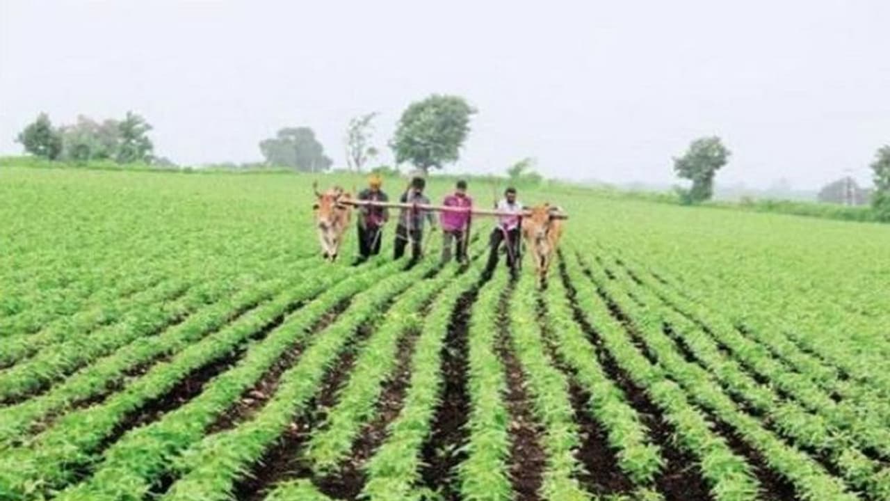 ಗದಗ: ಕೃಷಿ ಚಟುವಟಿಕೆಯ ಮೇಲೂ ಕೊರೋನಾ ಪ್ರಭಾವ, ಕಂಗಾಲಾದ ರೈತರು..! ಗದಗ: ಕೃಷಿ ಚಟುವಟಿಕೆಯ ಮೇಲೂ ಕೊರೋನಾ ಪ್ರಭಾವ, ಕಂಗಾಲಾದ ರೈತರು..!