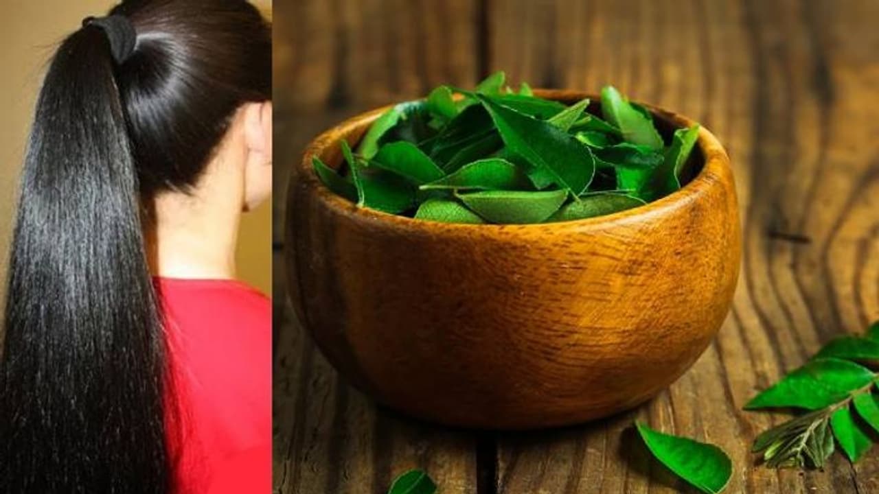 അകാല നര അകറ്റാനും തലമുടി വളരാനും കറിവേപ്പില മാജിക് ! അകാല നര അകറ്റാനും തലമുടി വളരാനും കറിവേപ്പില മാജിക് !