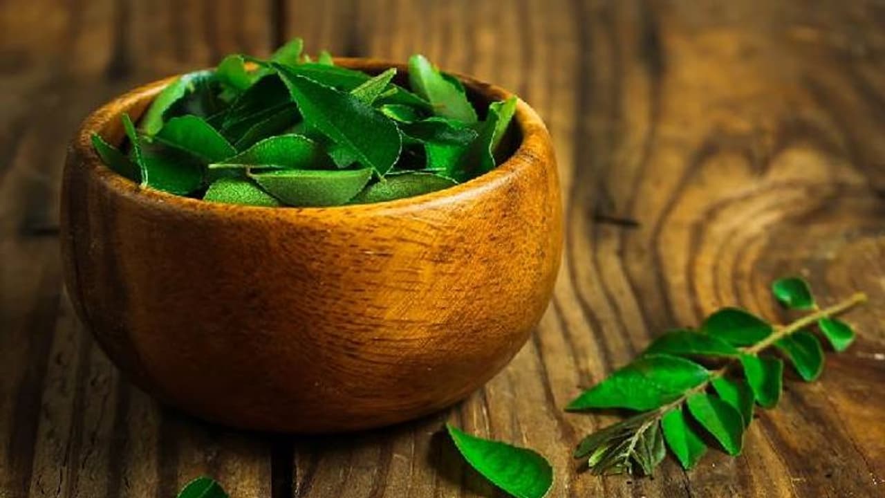 পুজোর আগে হেয়ার ডাই করতে কেমিক্যাল নয়, কাজে লাগান অব্যর্থ দাওয়াই কারি পাতা