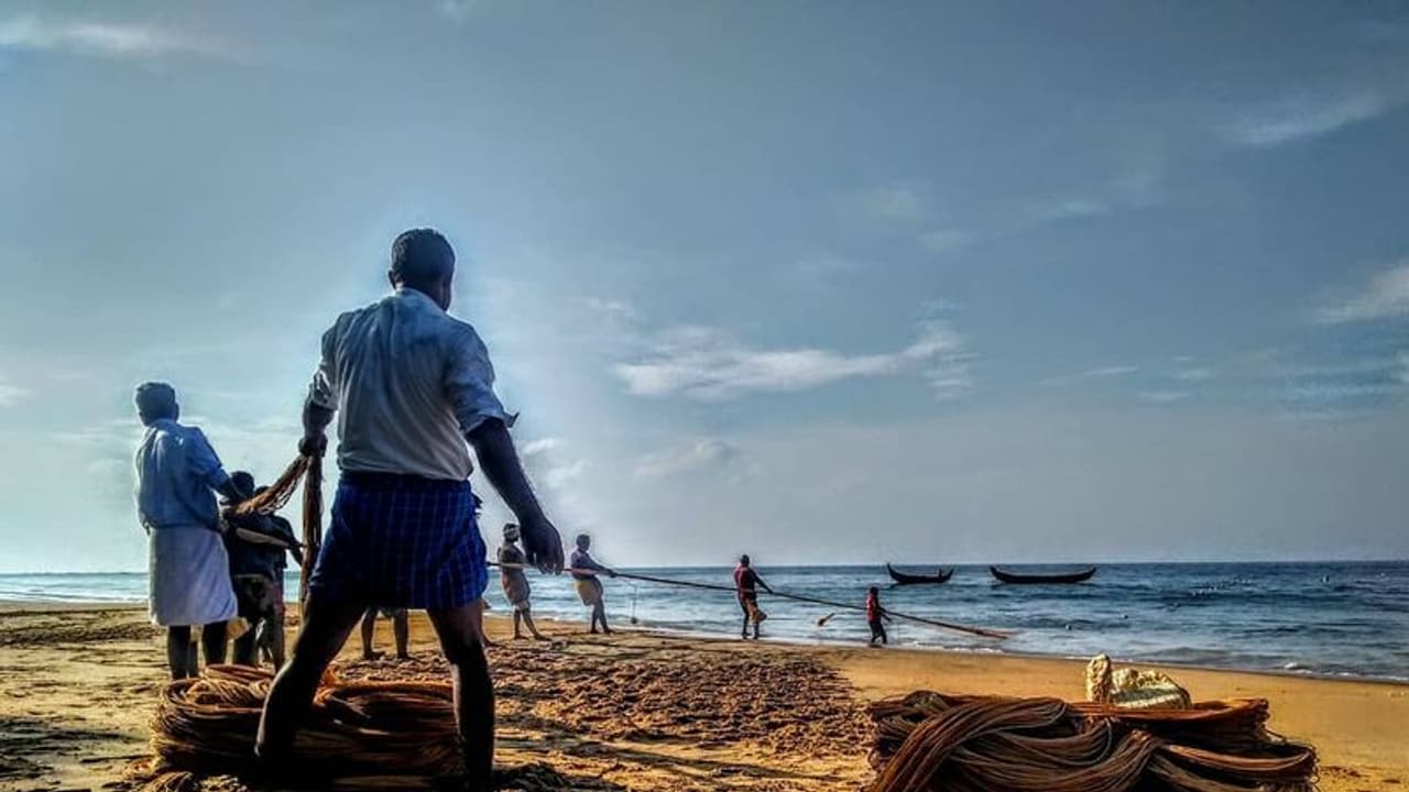 മത്സ്യത്തൊഴിലാളികളുടെ മക്കള്ക്ക് ഉന്നത വിദ്യാഭ്യാസ ധനസഹായം; അപേക്ഷകള് ക്ഷണിച്ചു മത്സ്യത്തൊഴിലാളികളുടെ മക്കള്ക്ക് ഉന്നത വിദ്യാഭ്യാസ ധനസഹായം; അപേക്ഷകള് ക്ഷണിച്ചു