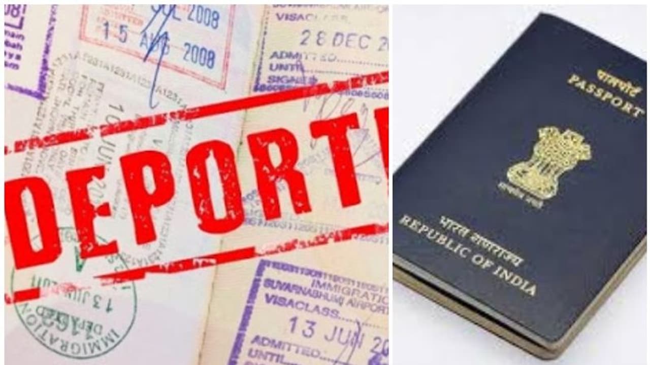 16 പേരുടെ മരണത്തിന് കാരണമായ വാഹനാപകടം, ഇന്ത്യൻ വംശജനായ ട്രെക്ക് ഡ്രൈവറെ നാട് കടത്താനൊരുങ്ങി കാനഡ 16 പേരുടെ മരണത്തിന് കാരണമായ വാഹനാപകടം, ഇന്ത്യൻ വംശജനായ ട്രെക്ക് ഡ്രൈവറെ നാട് കടത്താനൊരുങ്ങി കാനഡ