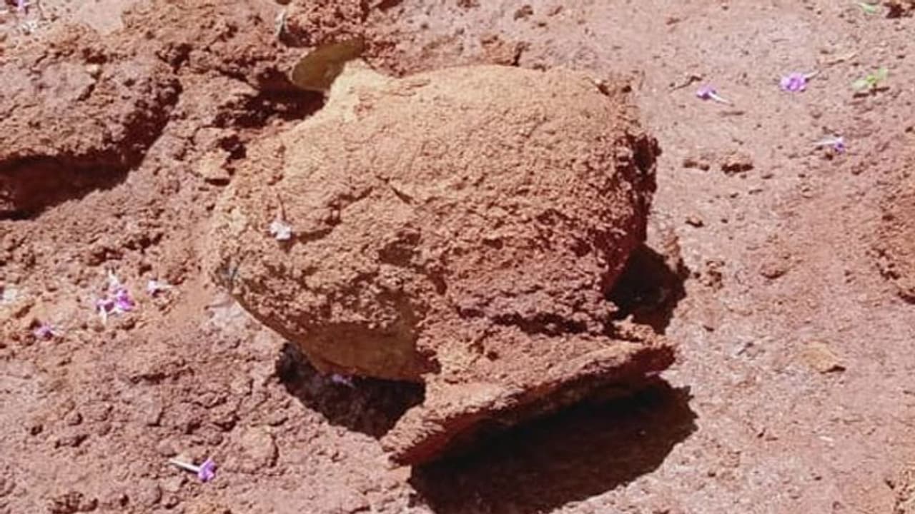 పొలంలో మట్టి తవ్వుతుండగా బయటపడ్డ లంకెబిందెలు... ఆ రైతు ఏం చేసాడంటే..