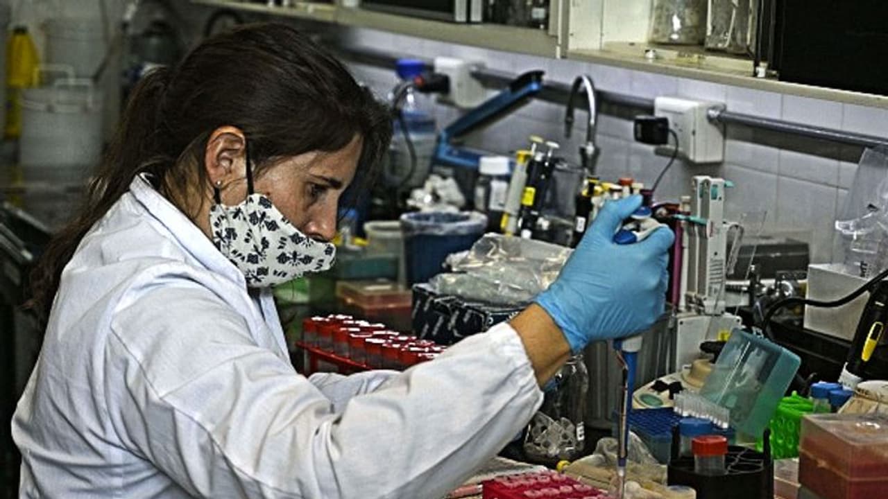 ರೇಬಿಸ್‌ ಪತ್ತೆಗೆ ಬೀದರ್‌, ಹಾಸನದಲ್ಲಿ ಪ್ರಯೋಗಾಲಯ ಶುರು