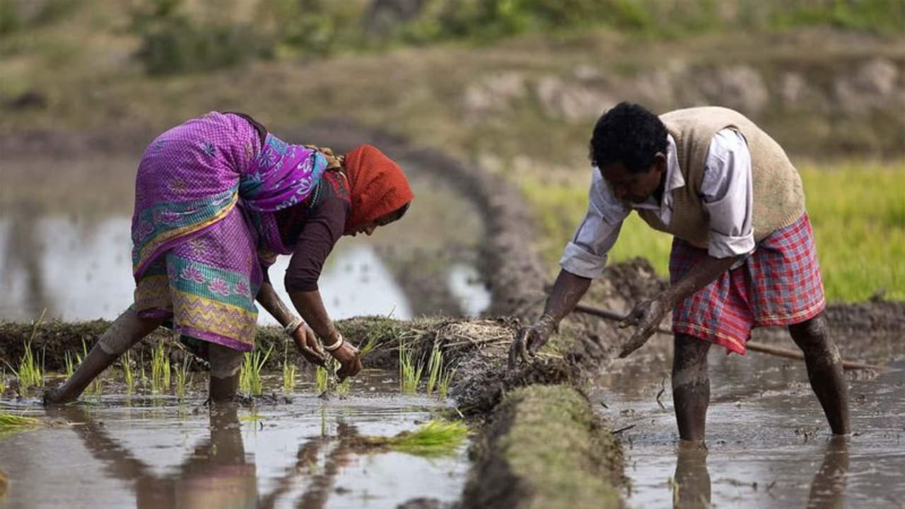 மாநிலம் முழுவதும் கூட்டுறவு நிறுவனங்களில் நகைக்கடன் நிறுத்தம்..! விவசாயிகளின் தலையில் இடியாக இறங்கிய அறிவிப்பு