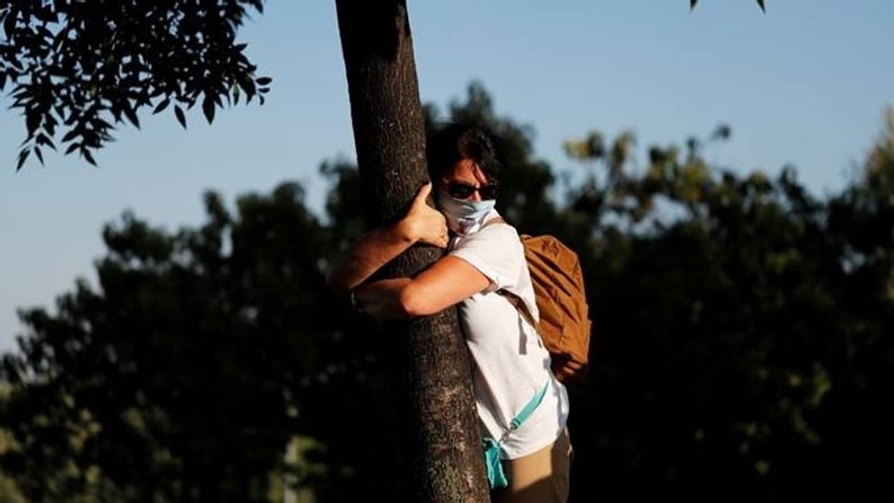 കൊറോണ കാലത്ത് മരങ്ങളെ ആലിംഗനം ചെയ്യാം; തരംഗമായി ക്യാംപയിന്‍
