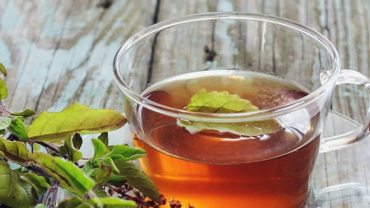Tulsi Tea: শীতে তুলসি চা খেলে মিলবে একাধিক উপকারিতা, সুস্থ থাকবে শরীর Tulsi Tea: শীতে তুলসি চা খেলে মিলবে একাধিক উপকারিতা, সুস্থ থাকবে শরীর