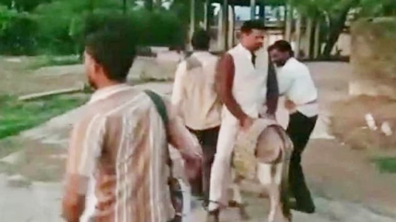 बारिश के लिए लोगों ने अपनाया अजीबोगरीब तरीका, गधे पर मुखिया को उल्टा बैठाकर श्मशान के लगवाए चक्कर बारिश के लिए लोगों ने अपनाया अजीबोगरीब तरीका, गधे पर मुखिया को उल्टा बैठाकर श्मशान के लगवाए चक्कर