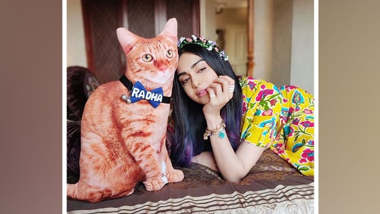 Adah Sharma to create new show? This OTT platform thinks she can and will Adah Sharma to create new show? This OTT platform thinks she can and will