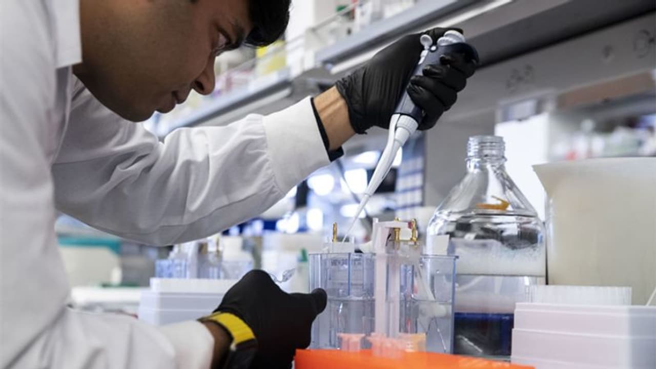 తెలంగాణలో కొత్తగా 1,296 కేసులు.. ఆరుగురి మృతి: 45 వేలు దాటిన సంఖ్య తెలంగాణలో కొత్తగా 1,296 కేసులు.. ఆరుగురి మృతి: 45 వేలు దాటిన సంఖ్య