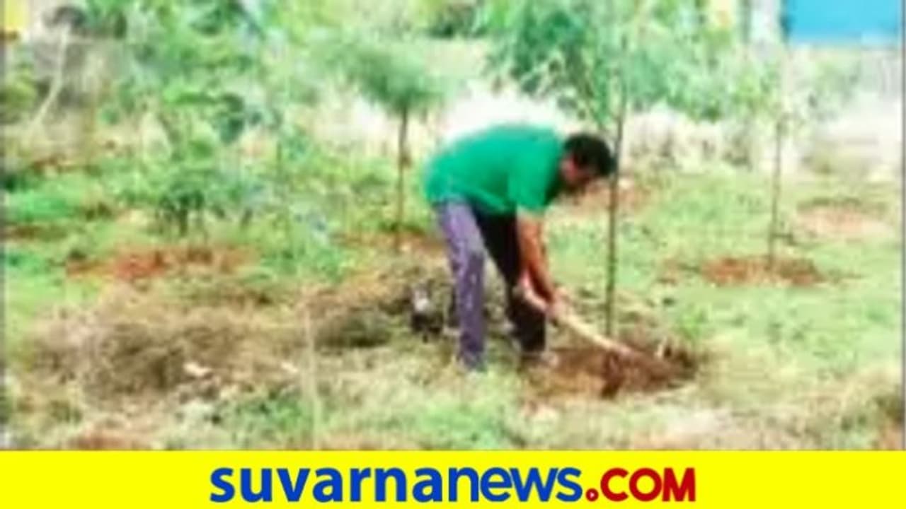 ಸರ್ಕಾರಿ ನಿವಾಸದ ಖಾಲಿ ಜಾಗದಲ್ಲಿ 60 ಬಗೆಯ ಸಸಿ ನೆಟ್ಟ ಅಧಿಕಾರಿ..! ಸರ್ಕಾರಿ ನಿವಾಸದ ಖಾಲಿ ಜಾಗದಲ್ಲಿ 60 ಬಗೆಯ ಸಸಿ ನೆಟ್ಟ ಅಧಿಕಾರಿ..!