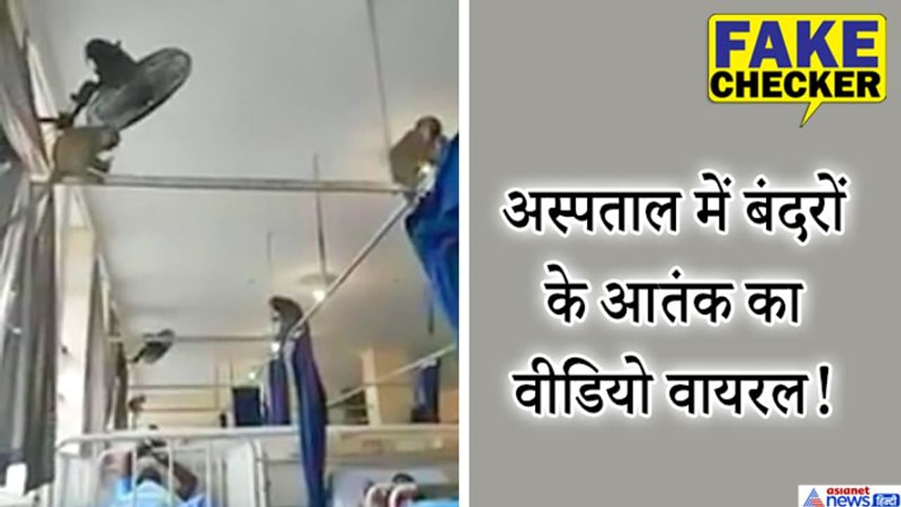 हॉस्पिटल वार्ड में मरीजों के ऊपर उछल कूद मचाते दिखे बंदर, जानें आखिर कहां का है ये वीडियो ? हॉस्पिटल वार्ड में मरीजों के ऊपर उछल कूद मचाते दिखे बंदर, जानें आखिर कहां का है ये वीडियो ?