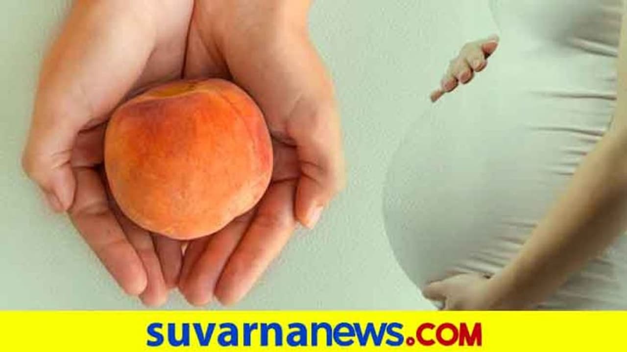 ಫರ್ಟಿಲಿಟಿ ಹೆಚ್ಚಿಸೋ ಫುಡ್ಸ್... ಮಗು ಬೇಕೆಂದ್ರೆ ಆಹಾರಕ್ಕೆ ಗಮನ ಹರಿಸಿ ಫರ್ಟಿಲಿಟಿ ಹೆಚ್ಚಿಸೋ ಫುಡ್ಸ್... ಮಗು ಬೇಕೆಂದ್ರೆ ಆಹಾರಕ್ಕೆ ಗಮನ ಹರಿಸಿ