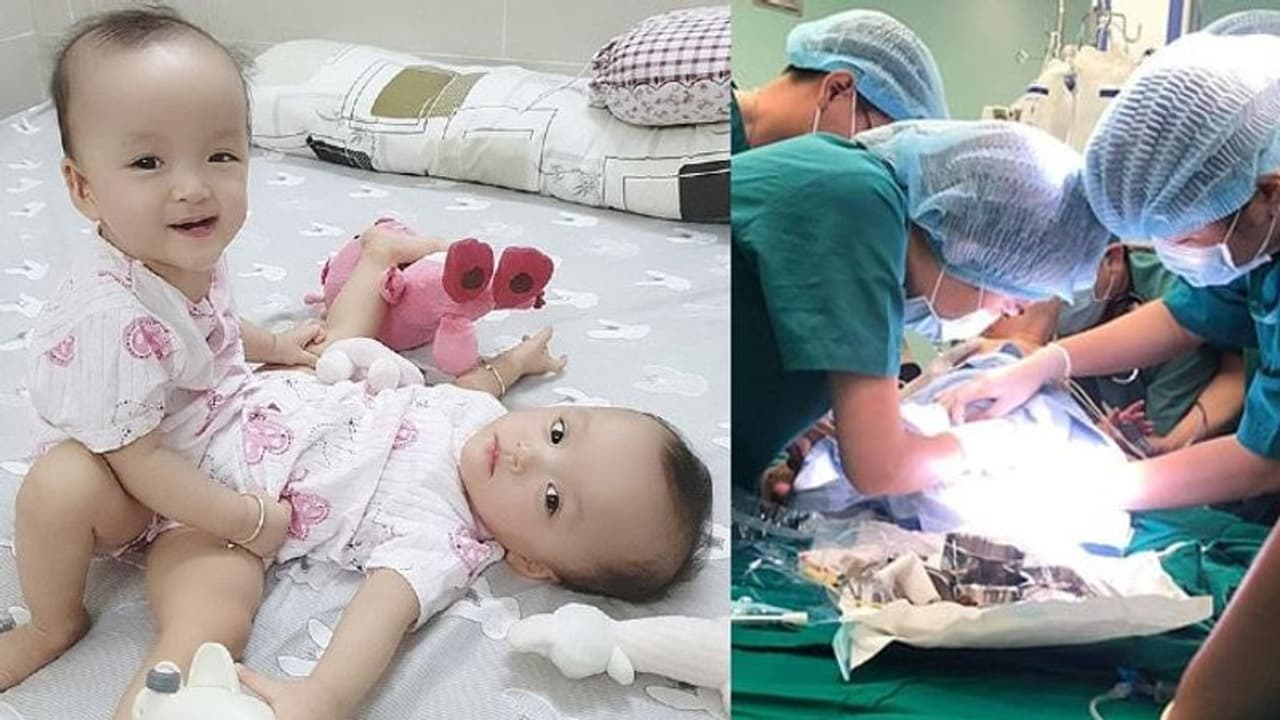 ഇനി പുതിയ ജീവിതത്തിലേക്ക്; ചങ്കിടിപ്പോടെ കൂട്ടിന് പ്രിയപ്പെട്ടവരും...