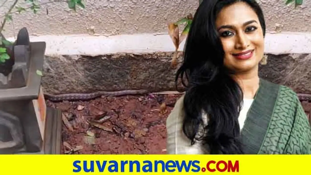 ನಟಿ ಶ್ವೇತಾ ಶ್ರೀವಾತ್ಸವ್ ಮನೆಯಲ್ಲಿ ಹಾವು; ಗಾಬರಿಗೊಂಡ ಪುತ್ರಿ ವರ್ಣಿಸಿದ್ದು ಹೀಗೆ! ನಟಿ ಶ್ವೇತಾ ಶ್ರೀವಾತ್ಸವ್ ಮನೆಯಲ್ಲಿ ಹಾವು; ಗಾಬರಿಗೊಂಡ ಪುತ್ರಿ ವರ್ಣಿಸಿದ್ದು ಹೀಗೆ!