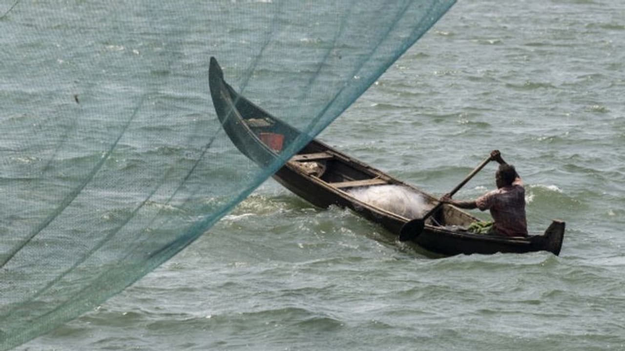 'ഇനി വലയെറിയാം'; ട്രോളിങ് നിരോധനവും നീങ്ങി, അഞ്ചാം തിയതി മുതല് മത്സ്യബന്ധനത്തിന് അനുമതി 'ഇനി വലയെറിയാം'; ട്രോളിങ് നിരോധനവും നീങ്ങി, അഞ്ചാം തിയതി മുതല് മത്സ്യബന്ധനത്തിന് അനുമതി