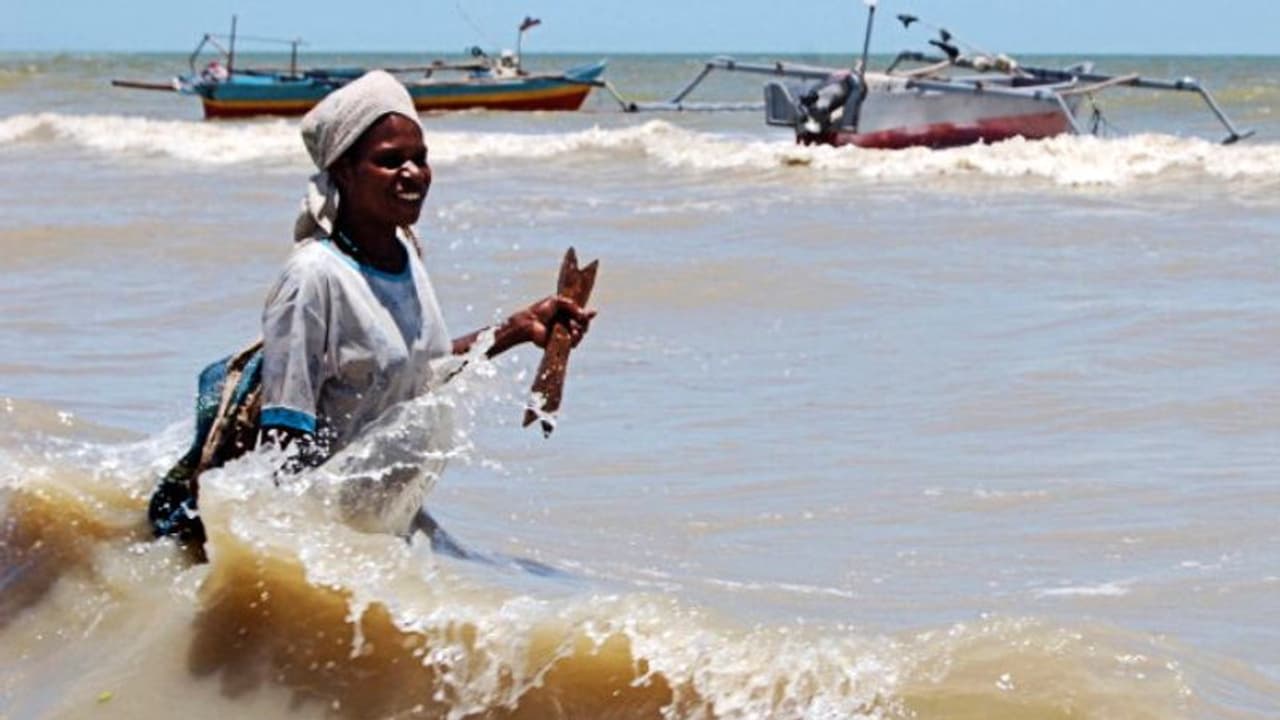 ইন্দোনেশিয়ার স্মৃতি উসকে জারি সুনামি সতর্কতা, ৭.০ মাত্রার জোরালো ভূমিকম্প পাপুয়া নিউগিনি তে