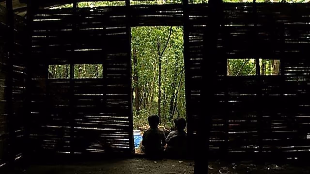 ടിവി അടക്കം സൗകര്യങ്ങളുണ്ട്; പഠിക്കാന് വൈദ്യുതി കണക്ഷൻ കിട്ടാതെ ആദിവാസി ഊരിലെ കുട്ടികൾ ടിവി അടക്കം സൗകര്യങ്ങളുണ്ട്; പഠിക്കാന് വൈദ്യുതി കണക്ഷൻ കിട്ടാതെ ആദിവാസി ഊരിലെ കുട്ടികൾ