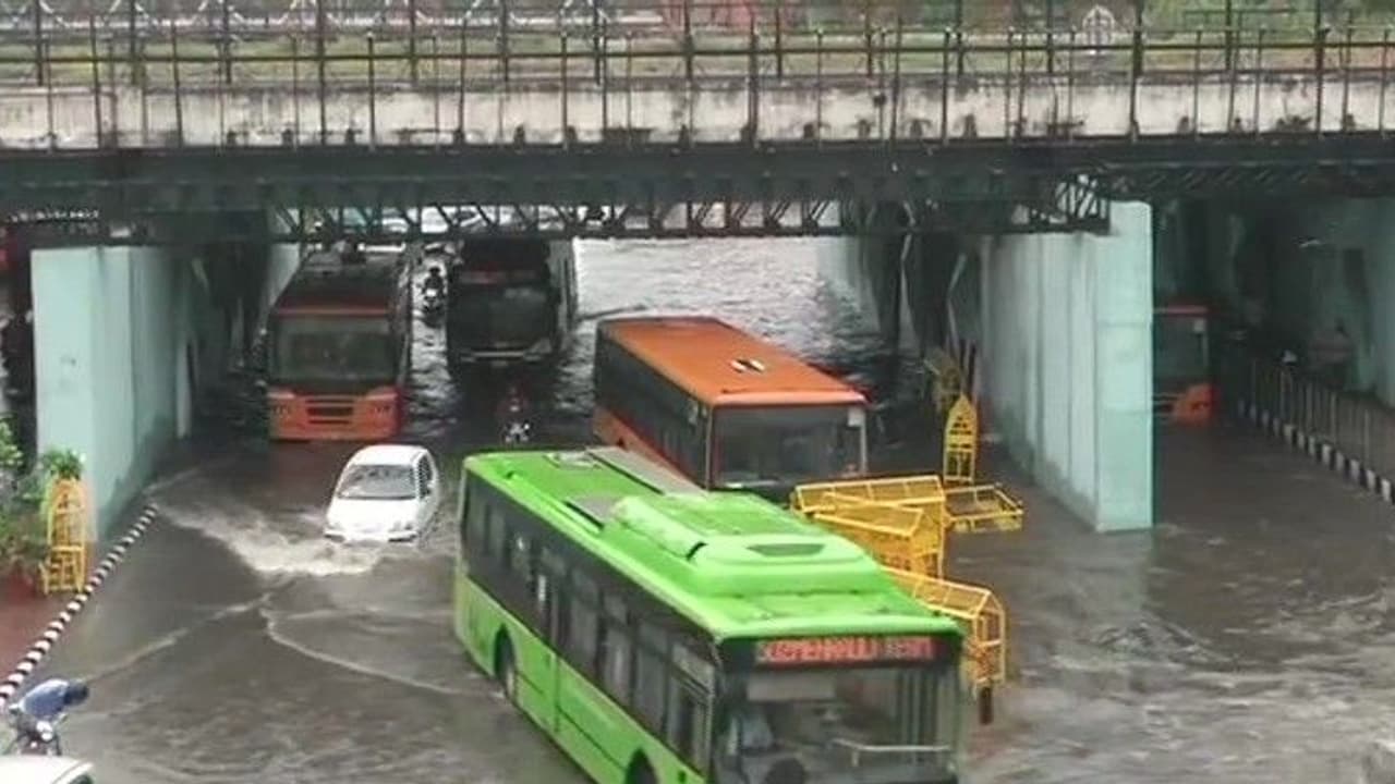 নাগাড়ে বৃষ্টিতে বেহাল দিল্লি, যাতায়াতের জন্য গরুর গাড়িই ভরসা রাজধানীবাসীর, দেখুন ভিডিও নাগাড়ে বৃষ্টিতে বেহাল দিল্লি, যাতায়াতের জন্য গরুর গাড়িই ভরসা রাজধানীবাসীর, দেখুন ভিডিও