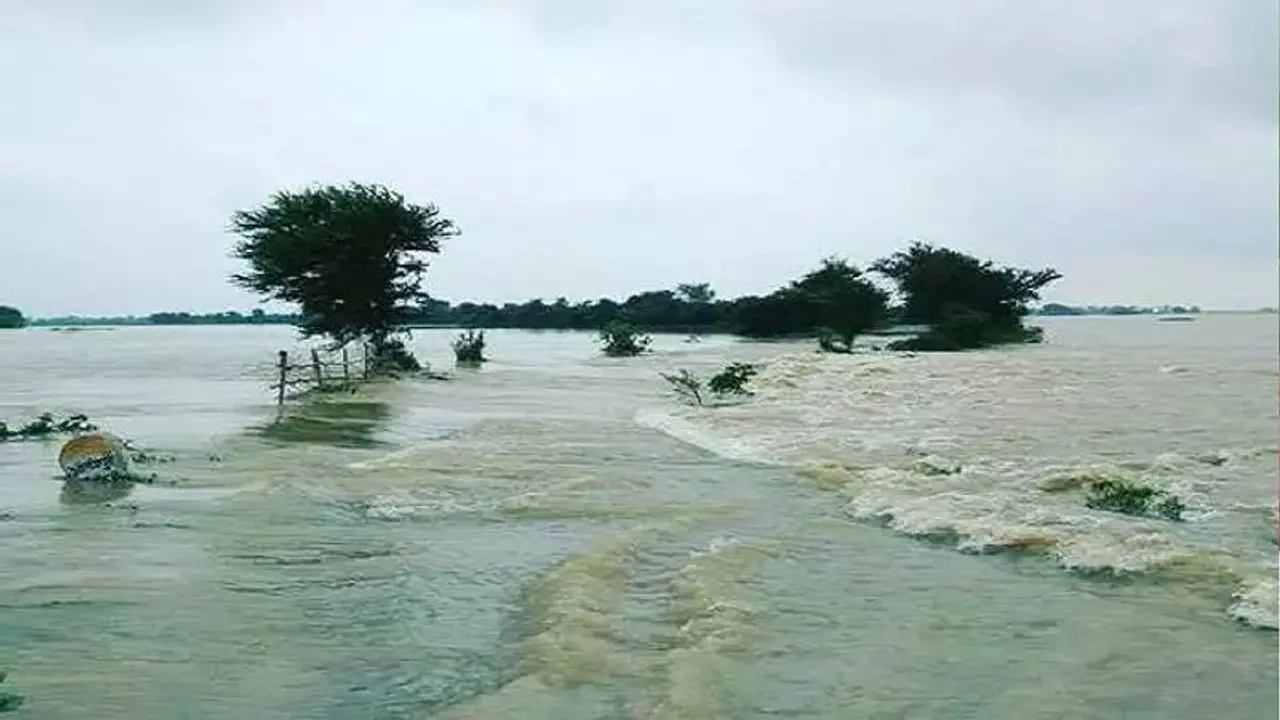 ಚಿಂಚೋಳಿಯಲ್ಲಿ ಭಾರೀ ಮಳೆ: ಹೊಲಗಳಿಗೆ ನುಗ್ಗಿದ ಮಳೆ ನೀರು, ಅಪಾರ ಬೆಳೆ ಹಾನಿ ಚಿಂಚೋಳಿಯಲ್ಲಿ ಭಾರೀ ಮಳೆ: ಹೊಲಗಳಿಗೆ ನುಗ್ಗಿದ ಮಳೆ ನೀರು, ಅಪಾರ ಬೆಳೆ ಹಾನಿ