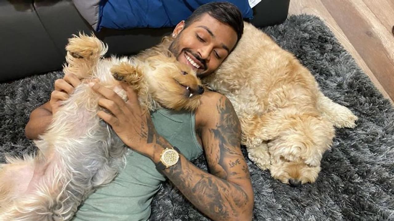 ஹர்திக் பாண்டியாவின் கைக்கடிகாரம்.. சாமானியனின் வாழ்நாள் வருமானத்தைவிட அதிகம் ஹர்திக் பாண்டியாவின் கைக்கடிகாரம்.. சாமானியனின் வாழ்நாள் வருமானத்தைவிட அதிகம்