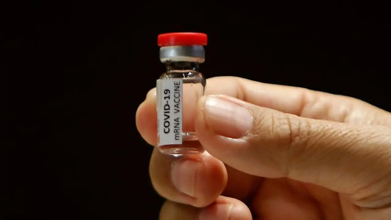 Coronavirus: Moderna vaccine protects against COVID 19 in monkeys, reveals study Coronavirus: Moderna vaccine protects against COVID 19 in monkeys, reveals study