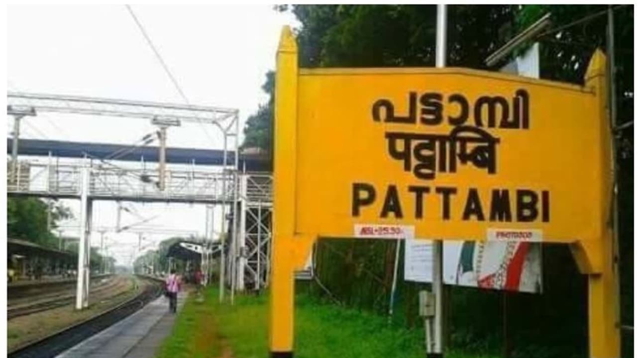 പട്ടാമ്പിയില് ആന്റിജൻ ടെസ്റ്റില് 36 പേര്ക്ക് കൊവിഡ്; പാലക്കാട് 46 രോഗികള് പട്ടാമ്പിയില് ആന്റിജൻ ടെസ്റ്റില് 36 പേര്ക്ക് കൊവിഡ്; പാലക്കാട് 46 രോഗികള്