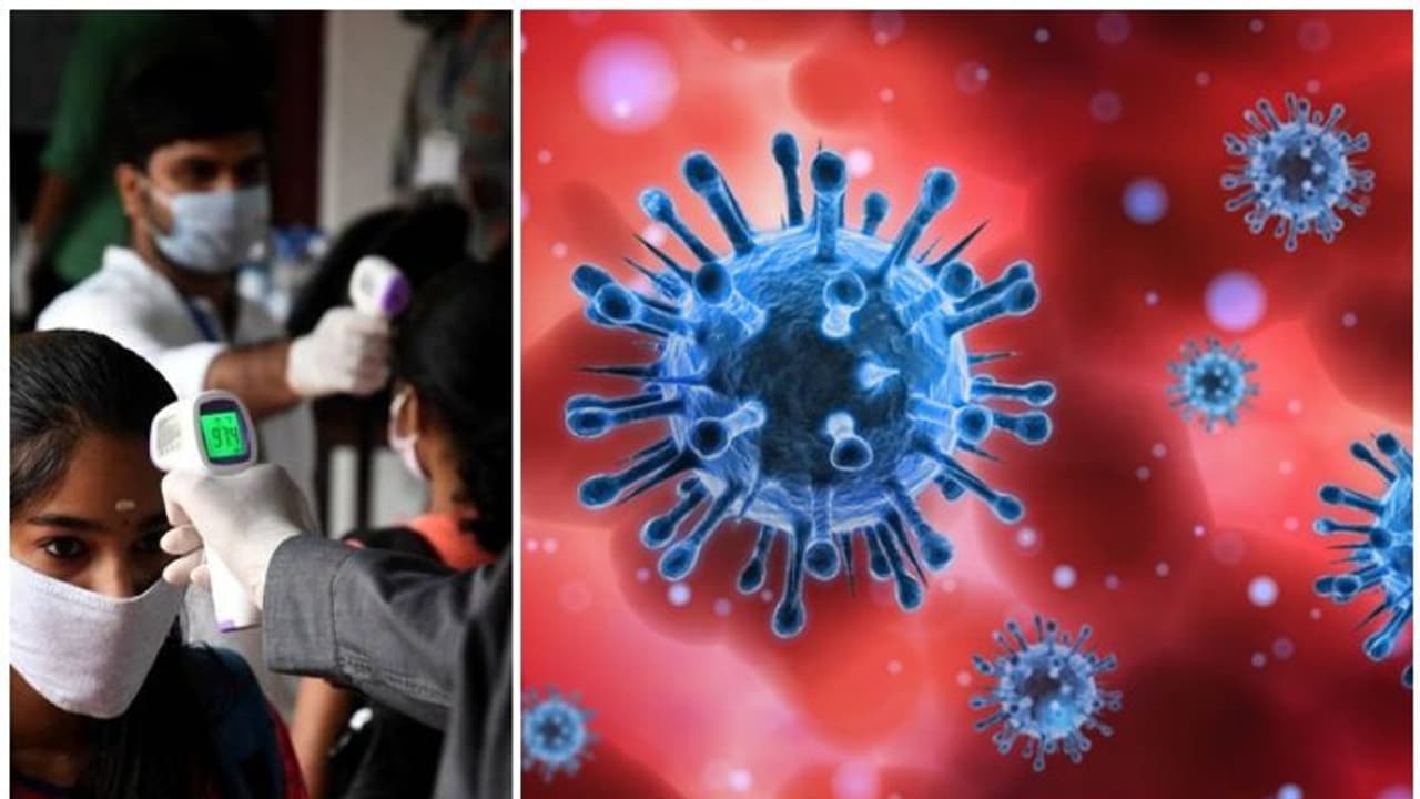 കോഴിക്കോട്ട് കീം പരീക്ഷയഴുതിയ ഒരു വിദ്യാർത്ഥിക്ക് കൂടി കൊവിഡ്, ആശങ്ക കോഴിക്കോട്ട് കീം പരീക്ഷയഴുതിയ ഒരു വിദ്യാർത്ഥിക്ക് കൂടി കൊവിഡ്, ആശങ്ക