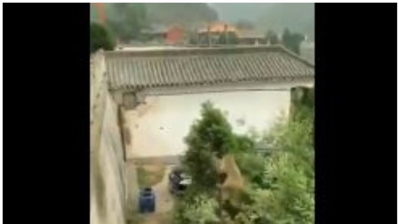 അമരേന്ദ്ര ബാഹുബലിയുടെ ഹെഡ്മാസ്റ്റര്; വൈറലായി കുരങ്ങന്റെ അഭ്യാസം, വീഡിയോ അമരേന്ദ്ര ബാഹുബലിയുടെ ഹെഡ്മാസ്റ്റര്; വൈറലായി കുരങ്ങന്റെ അഭ്യാസം, വീഡിയോ