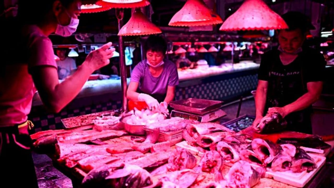 অর্ধেক লিভার খেয়ে ফেলল মাছ থেকে আসা পরজীবী, অস্বাভাবিক খাদ্যাভাসে ফের বিপদ বাড়াচ্ছে চিন