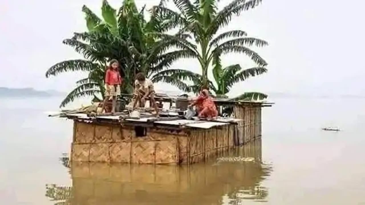 Vidyadhari river dam breaks again due to excessive rain; huge loss incurred by villagers Vidyadhari river dam breaks again due to excessive rain; huge loss incurred by villagers