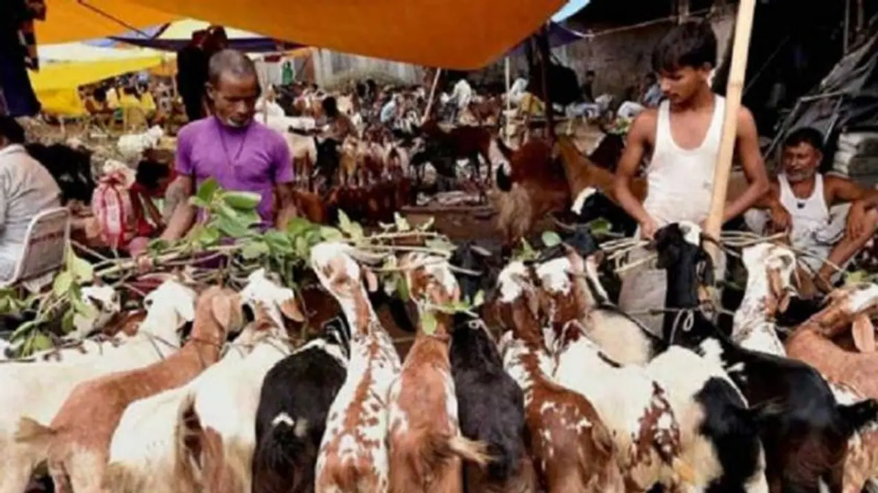 বখরি ইদের জন্য লকডাউনে ছাড় কেন, এই রাজ্য সরকারের বিরুদ্ধে চরম হুঁশিয়ারি চিকিৎসক সংগঠন IMAর বখরি ইদের জন্য লকডাউনে ছাড় কেন, এই রাজ্য সরকারের বিরুদ্ধে চরম হুঁশিয়ারি চিকিৎসক সংগঠন IMAর