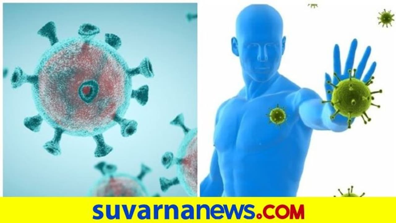 ಕೊರೋನಾ ಪ್ರತಿಕಾಯ ಶಕ್ತಿ ದೀರ್ಘವಧಿ ಇರಲ್ಲ: ವರದಿ ಕೊರೋನಾ ಪ್ರತಿಕಾಯ ಶಕ್ತಿ ದೀರ್ಘವಧಿ ಇರಲ್ಲ: ವರದಿ