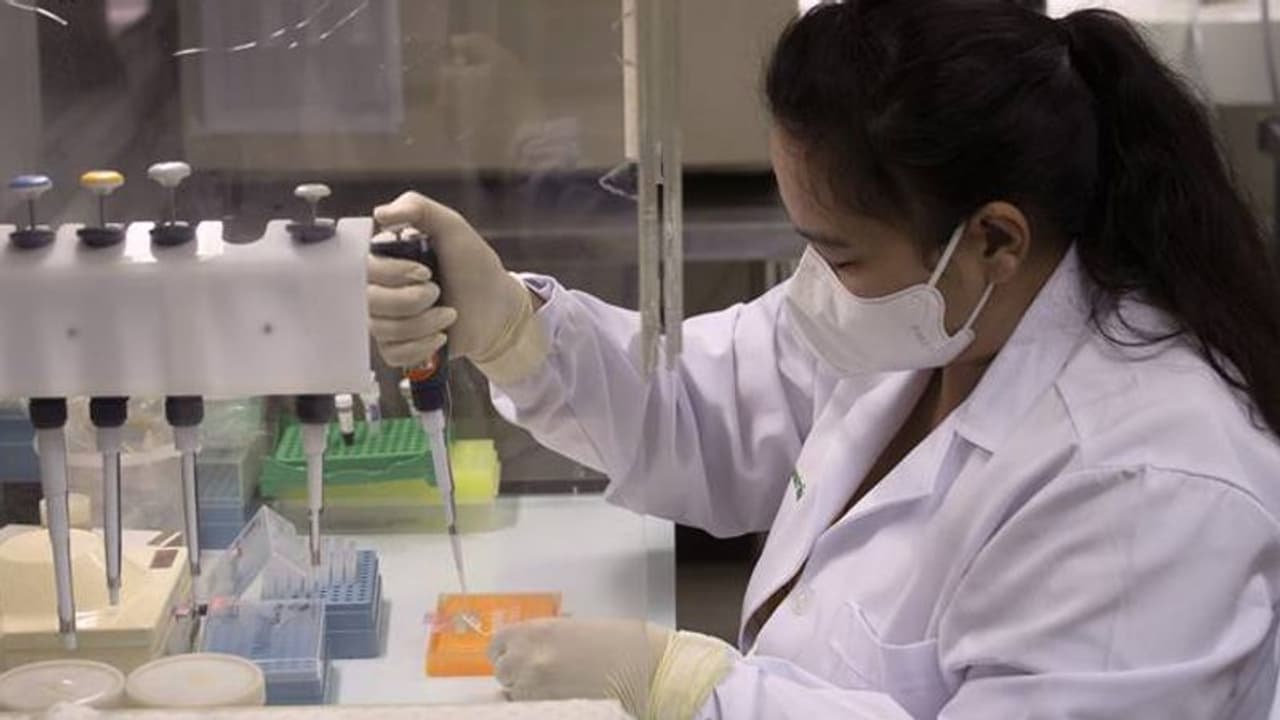 24 గంటల్లో 50 వేలకు చేరువలో కరోనా కేసులు: ఇండియాలో మొత్తం 12,38,635కి చేరిక 24 గంటల్లో 50 వేలకు చేరువలో కరోనా కేసులు: ఇండియాలో మొత్తం 12,38,635కి చేరిక