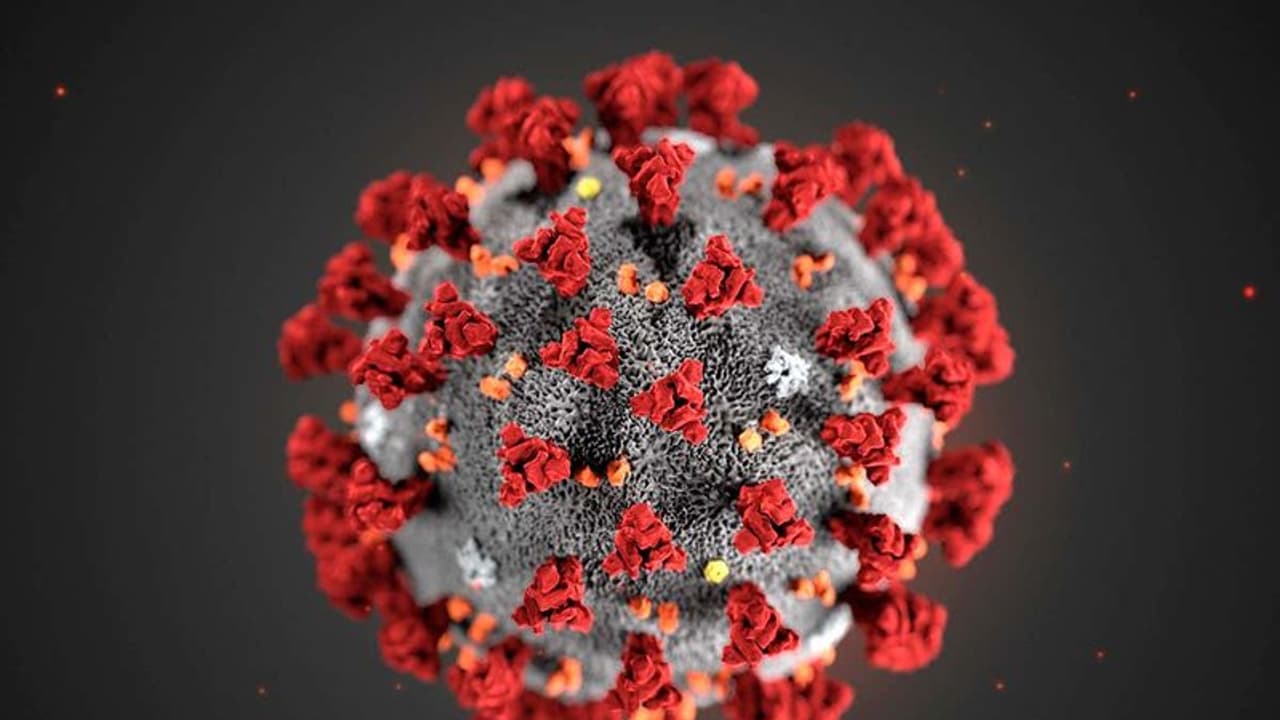 കോഴിക്കോട്ടെ ഏഴ് പ്രദേശങ്ങളെ കണ്ടൈൻമെന്റ് സോണില് നിന്ന് ഒഴിവാക്കി കോഴിക്കോട്ടെ ഏഴ് പ്രദേശങ്ങളെ കണ്ടൈൻമെന്റ് സോണില് നിന്ന് ഒഴിവാക്കി