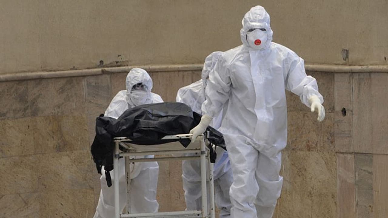 പിടിതരാതെ കൊവിഡ്; ലോകത്ത് രോഗികള് രണ്ട് കോടി 40 ലക്ഷം കടന്നു; രാജ്യത്ത് കേസുകൾ 32 ലക്ഷത്തിലേക്ക് പിടിതരാതെ കൊവിഡ്; ലോകത്ത് രോഗികള് രണ്ട് കോടി 40 ലക്ഷം കടന്നു; രാജ്യത്ത് കേസുകൾ 32 ലക്ഷത്തിലേക്ക്