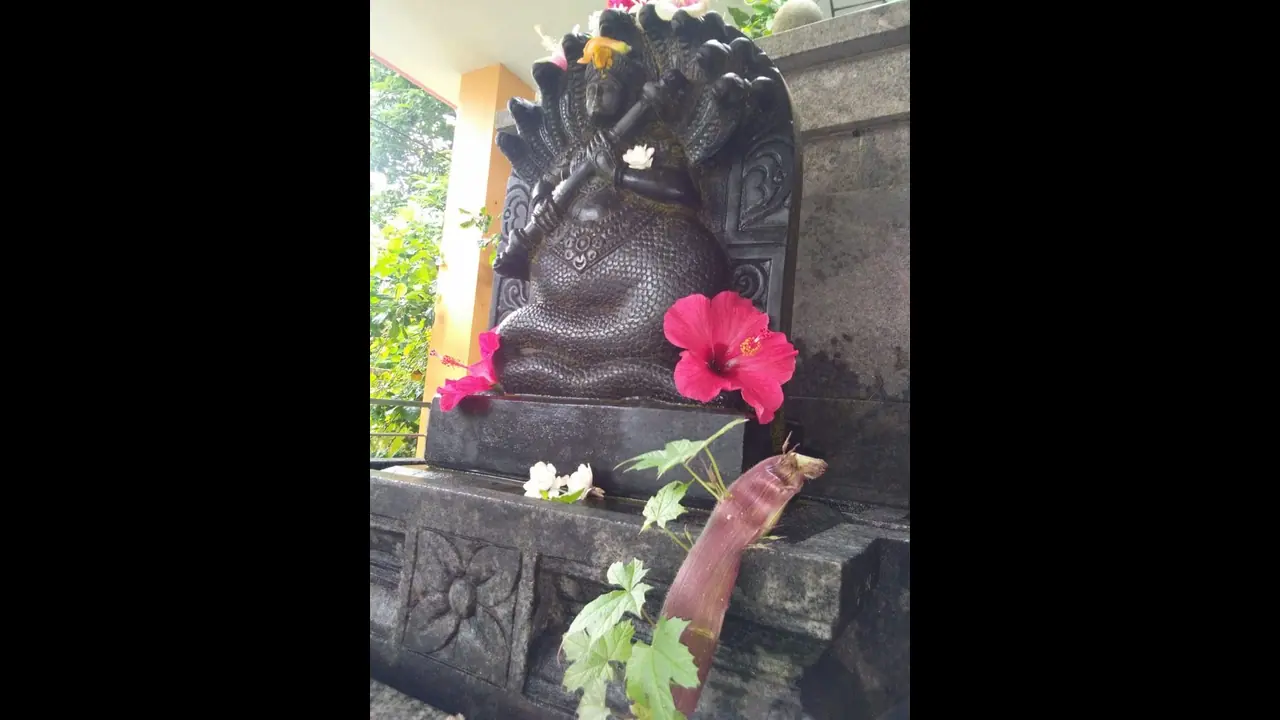 ನಾಗಬನ ಅಪವಿತ್ರ ಖಂಡಿಸಿ ಬಂದ್‌ : ಆರೋಪಿಗಳ ಬಂಧನಕ್ಕೆ 24 ದಿನ ಗಡುವು