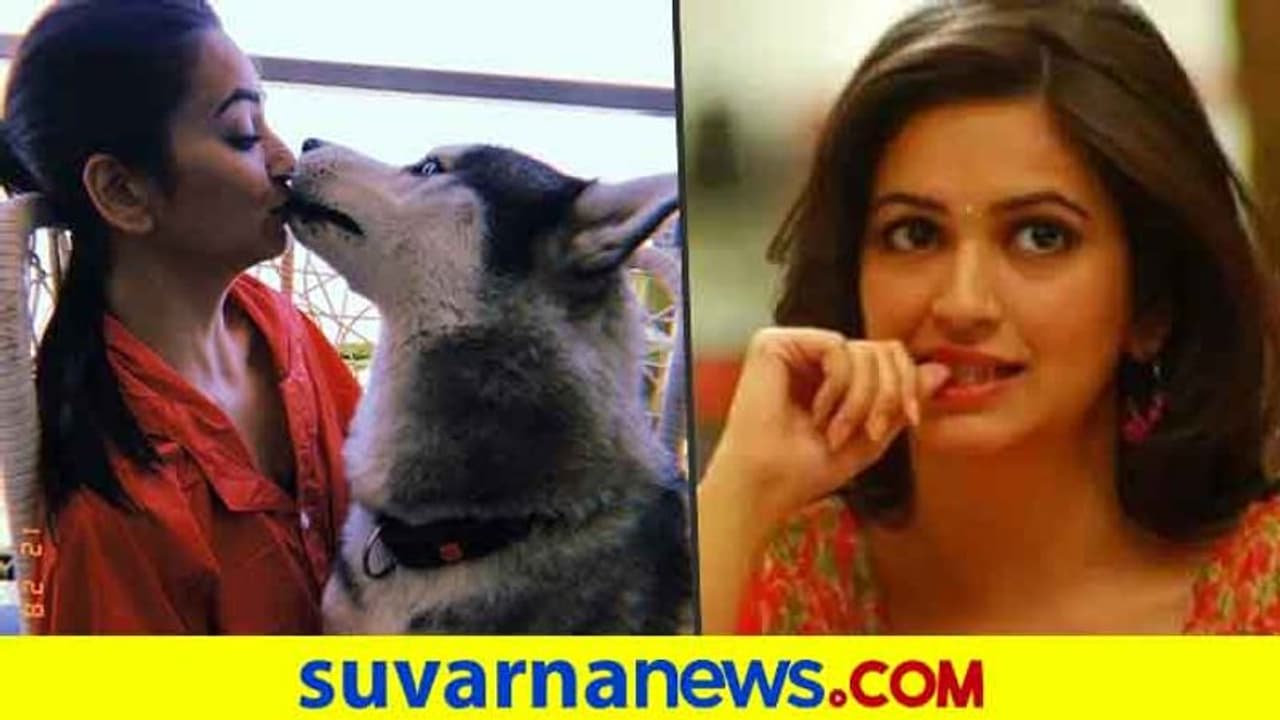 ನಾಯಿ ಜೊತೆ ಲಿಪ್ಲಾಕ್ ಮಾಡಿದ 'ಗೂಗ್ಲಿ' ನಟಿ ಕೃತಿ ಕರಬಂಧ! ನಾಯಿ ಜೊತೆ ಲಿಪ್ಲಾಕ್ ಮಾಡಿದ 'ಗೂಗ್ಲಿ' ನಟಿ ಕೃತಿ ಕರಬಂಧ!