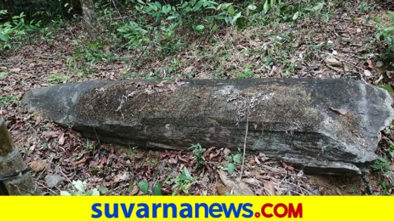 ಕೊಲ್ಲೂರಿನಲ್ಲಿ ಬೃಹತ್ ಶಿಲಾಯುಗದ ನಿವೇಶನ ಪತ್ತೆ ಕೊಲ್ಲೂರಿನಲ್ಲಿ ಬೃಹತ್ ಶಿಲಾಯುಗದ ನಿವೇಶನ ಪತ್ತೆ