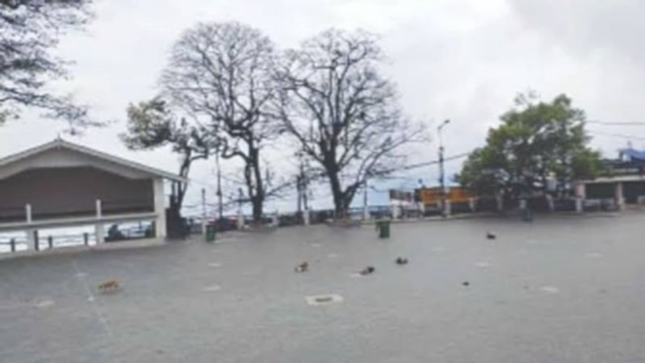 করোনা সংক্রমণে বিপদের আশঙ্কা, এবার দার্জিলিং পাহাড়েও লকডাউন জারির সিদ্ধান্ত জিটিএ করোনা সংক্রমণে বিপদের আশঙ্কা, এবার দার্জিলিং পাহাড়েও লকডাউন জারির সিদ্ধান্ত জিটিএ