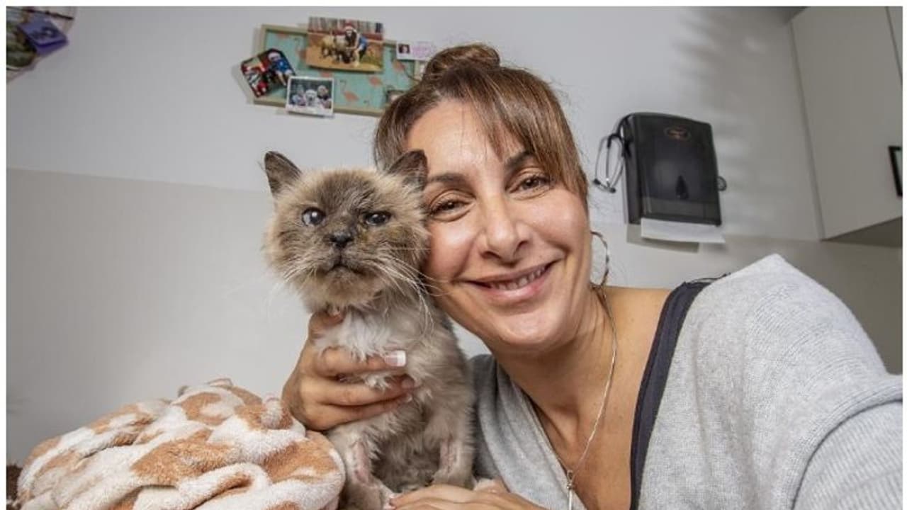 'മിഷ്ക'യെ തിരികെ കിട്ടി; 10 വർഷങ്ങൾക്ക് ശേഷം, ജോർജിയ ഹാപ്പിയാണ് 'മിഷ്ക'യെ തിരികെ കിട്ടി; 10 വർഷങ്ങൾക്ക് ശേഷം, ജോർജിയ ഹാപ്പിയാണ്