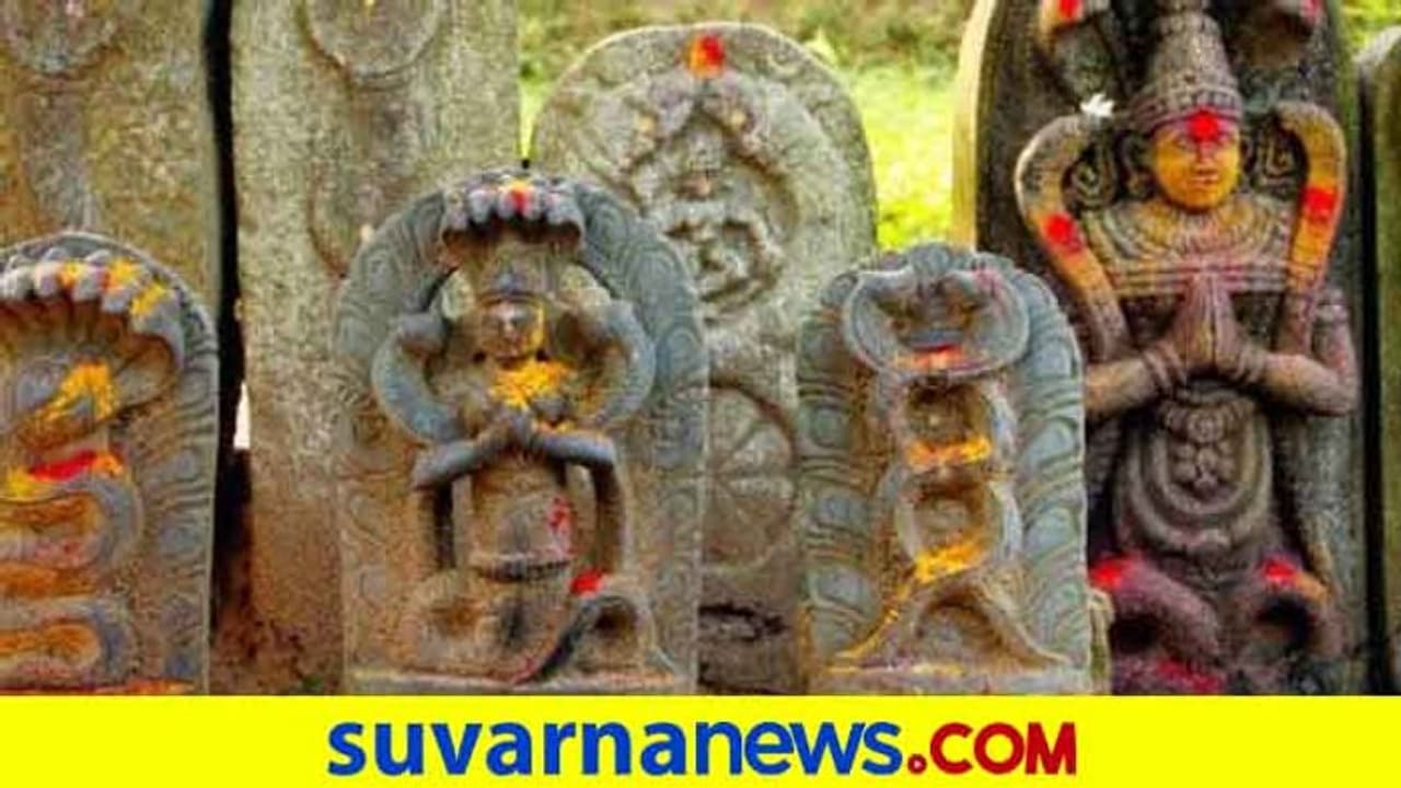 ನಾಗದೋಷ ಅಂದ್ರೆ ಎಲ್ಲರೂ ಭಯಪಡೋದ್ಯಾಕೆ? ನಾಗದೋಷ ಅಂದ್ರೆ ಎಲ್ಲರೂ ಭಯಪಡೋದ್ಯಾಕೆ?