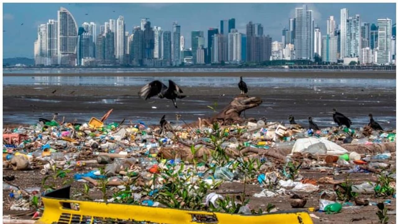 2040 ആകുമ്പോഴേക്കും സമുദ്രത്തിലെ പ്ലാസ്റ്റിക് മാലിന്യങ്ങൾ മൂന്നിരട്ടിയാകും, ഗവേഷണം പറയുന്നത്... 2040 ആകുമ്പോഴേക്കും സമുദ്രത്തിലെ പ്ലാസ്റ്റിക് മാലിന്യങ്ങൾ മൂന്നിരട്ടിയാകും, ഗവേഷണം പറയുന്നത്...