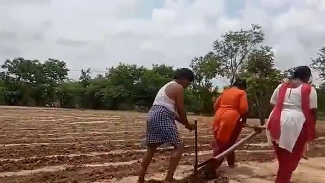 இரண்டு மகள்களை மாட்டுக்கு பதிலாக ஏர் பூட்டி உழவு செய்த விவசாயி.! அதிர்ந்து போன நடிகர் சோனுசூட்.! இரண்டு மகள்களை மாட்டுக்கு பதிலாக ஏர் பூட்டி உழவு செய்த விவசாயி.! அதிர்ந்து போன நடிகர் சோனுசூட்.!