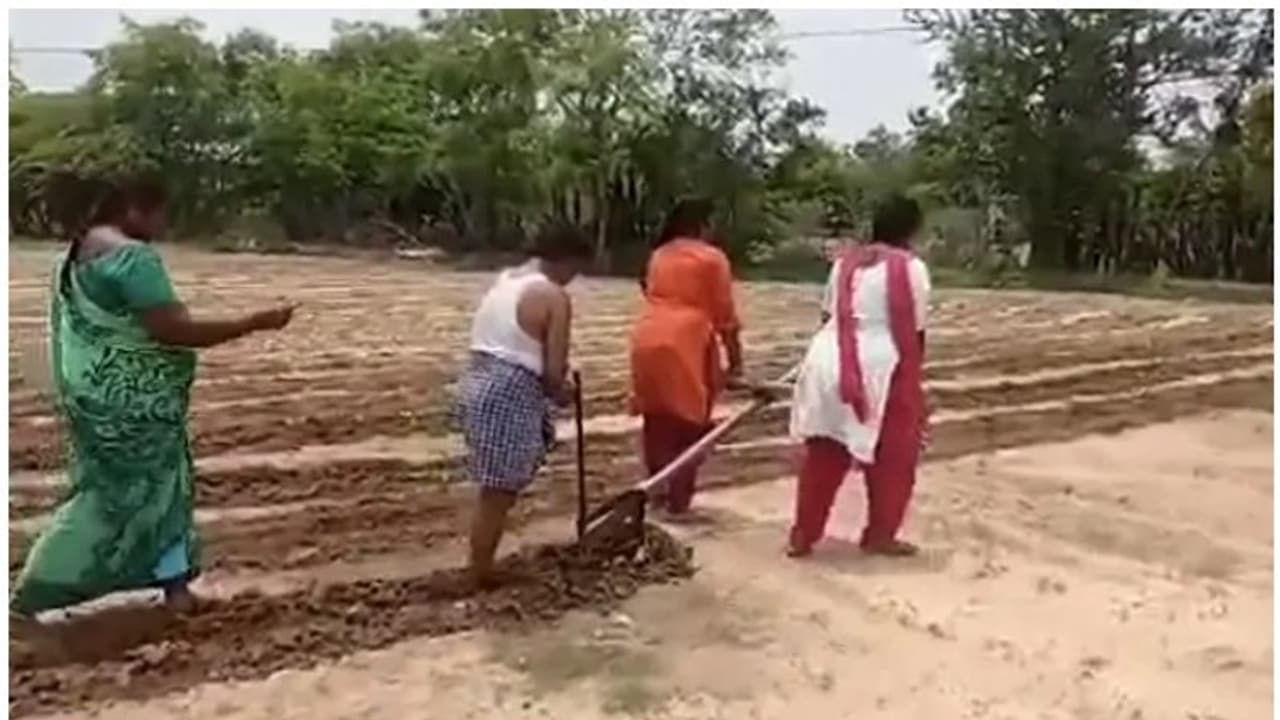 പിതാവിനെ സഹായിക്കാൻ കാളയ്ക്ക് പകരം നിലമുഴുത പെൺകുട്ടികൾ; വിദ്യാഭ്യാസചെലവ് ഏറ്റെടുക്കുമെന്ന് ചന്ദ്രബാബു നായിഡു പിതാവിനെ സഹായിക്കാൻ കാളയ്ക്ക് പകരം നിലമുഴുത പെൺകുട്ടികൾ; വിദ്യാഭ്യാസചെലവ് ഏറ്റെടുക്കുമെന്ന് ചന്ദ്രബാബു നായിഡു