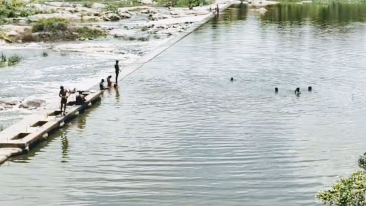 அணையில் தண்ணீர் தேங்கியும் தொடரும் மணல் கொள்ளை..!! கிருஷ்ணகிரியில் அரசியல் புள்ளிகள் அட்டூழியம்..!!