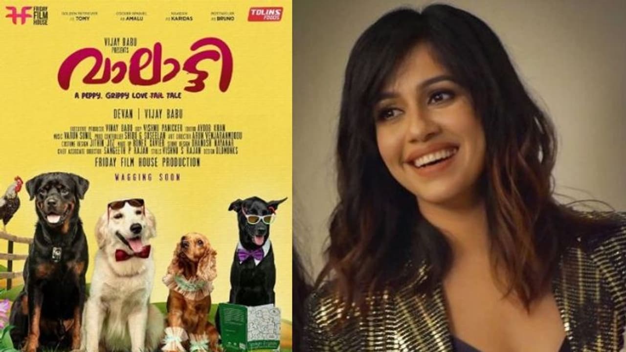 വാലാട്ടിയുടെ പോസ്റ്റര് പങ്കുവച്ച് വിജയ്ബാബു; പട്ടിക്കുട്ടികളുടെ സിനിമയ്ക്ക് ആശംസകളറിയിച്ച് രഞ്ജിനി വാലാട്ടിയുടെ പോസ്റ്റര് പങ്കുവച്ച് വിജയ്ബാബു; പട്ടിക്കുട്ടികളുടെ സിനിമയ്ക്ക് ആശംസകളറിയിച്ച് രഞ്ജിനി