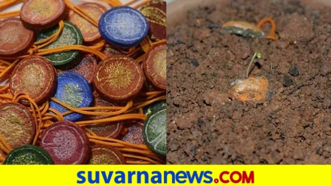 ಈ ಬಾರಿಯ ರಕ್ಷಾಬಂಧನ ಸಂಭ್ರಮಕ್ಕೆ ತರಕಾರಿ ಬೀಜಗಳ ರಾಖಿ..! ಈ ಬಾರಿಯ ರಕ್ಷಾಬಂಧನ ಸಂಭ್ರಮಕ್ಕೆ ತರಕಾರಿ ಬೀಜಗಳ ರಾಖಿ..!